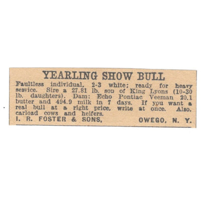 I.R. Foster & Sons Yearling Show Bull Owego NY 1922 Magazine Ad AF2-T1