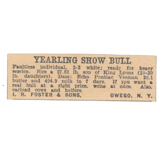 I.R. Foster & Sons Yearling Show Bull Owego NY 1922 Magazine Ad AF2-T1