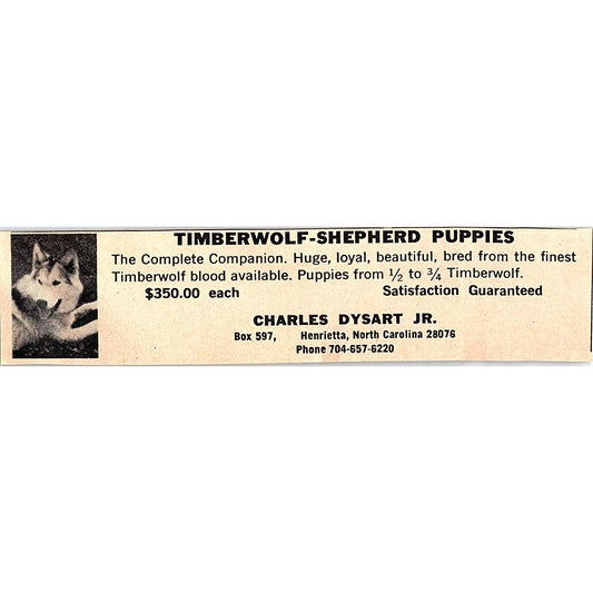 Timberwolf-Shepherd Puppies Charles Dysart Jr. Henrietta NC 1977 Ad AF6-5