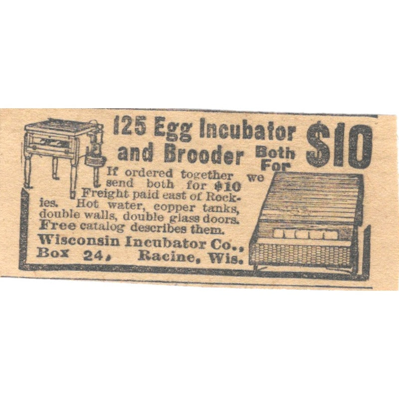 Wisconsin Incubator Co Racine WI 1910 Magazine Ad AF1-SS8