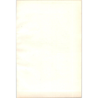 Shoveller Bird 1903 Original Color Engraving Plate Print AD8-B8