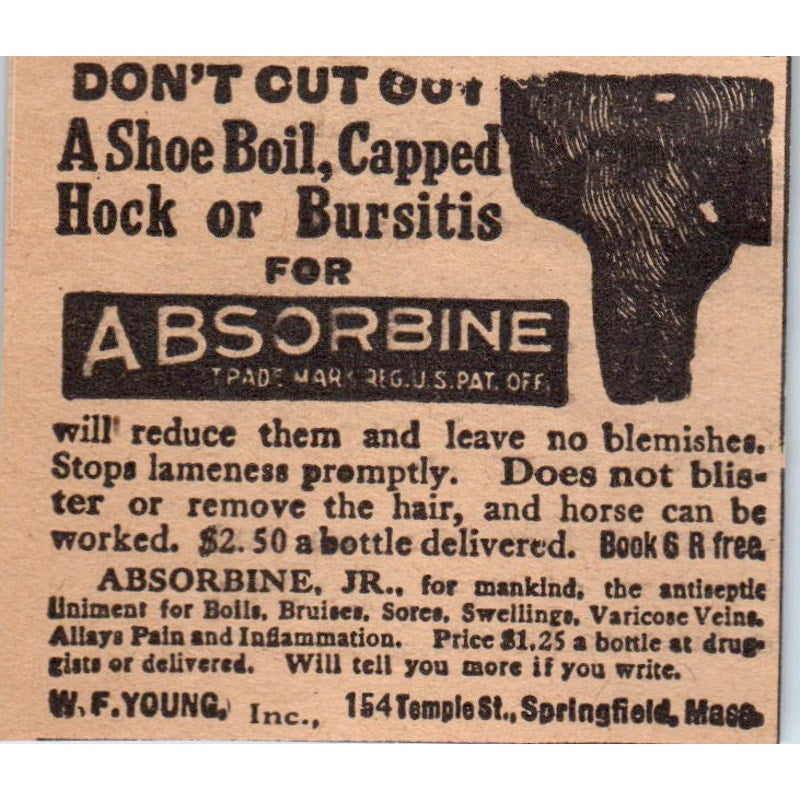 Absorbine W.F. Young Springfield MA 1922 Magazine Ad AF2-S9