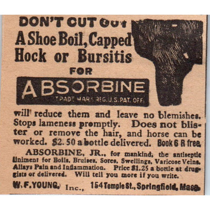 Absorbine W.F. Young Springfield MA 1922 Magazine Ad AF2-S9