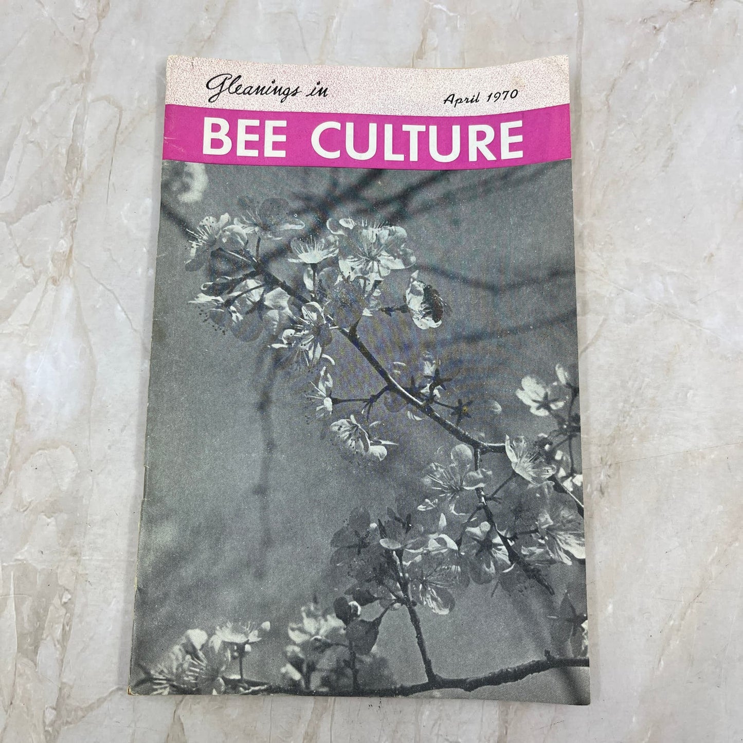 1970 April Gleanings in Bee Culture Magazine Bees Beekeeping Honey M8