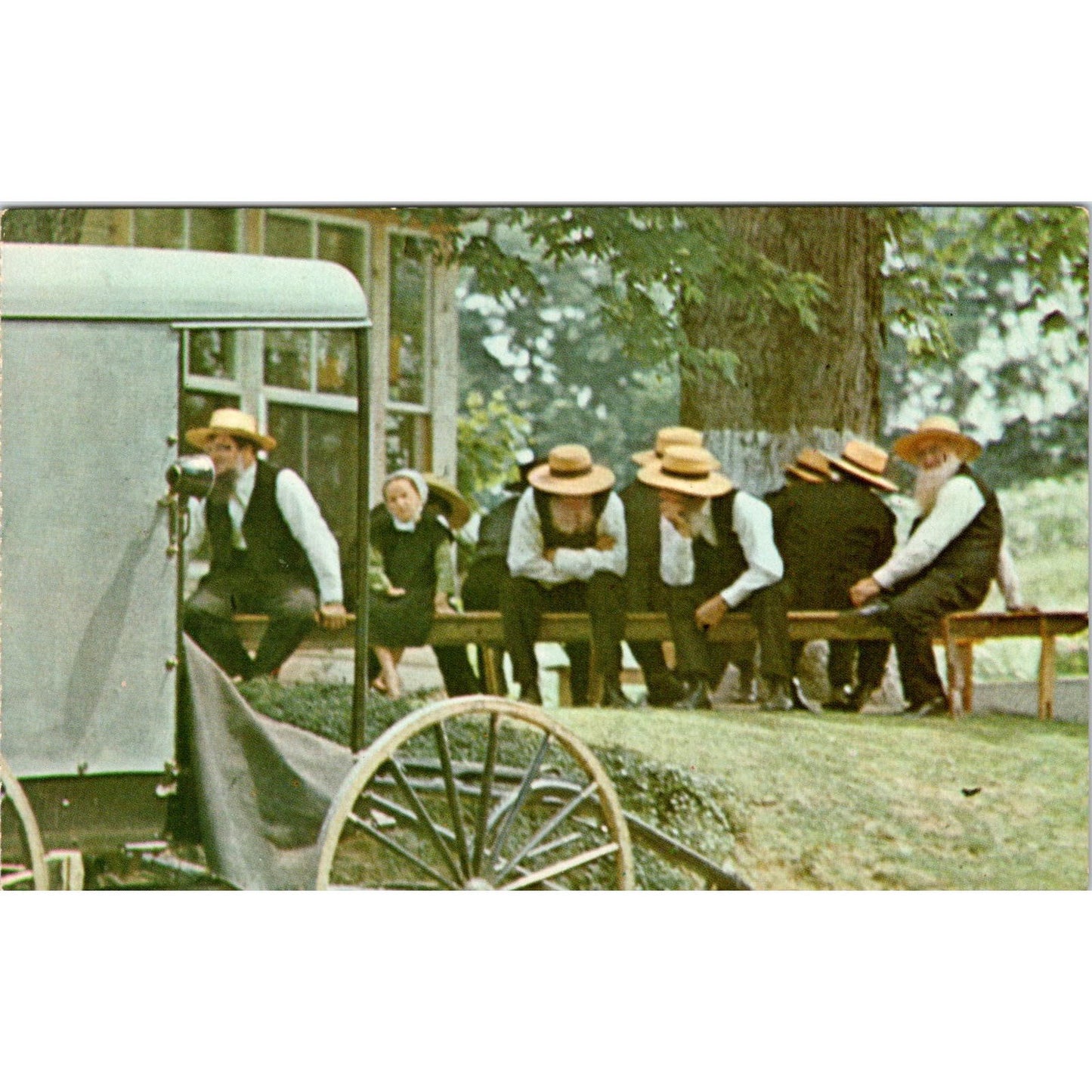 Amish Outdoor Sunday Church Meeting PA Dutch Country Vintage Postcard PD4