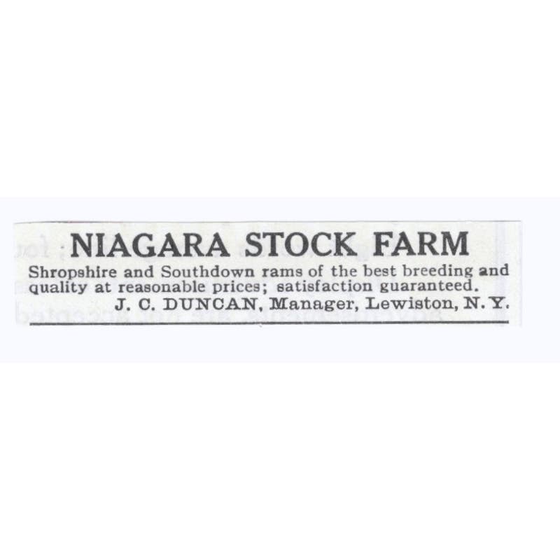 Niagara Stock Farm J.C. Duncan Lewiston NY 1913 Magazine Advertisement AE7-N8