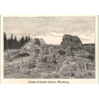 Crater of Castle Geyser Wyoming 1901 Engraving AF2-P4