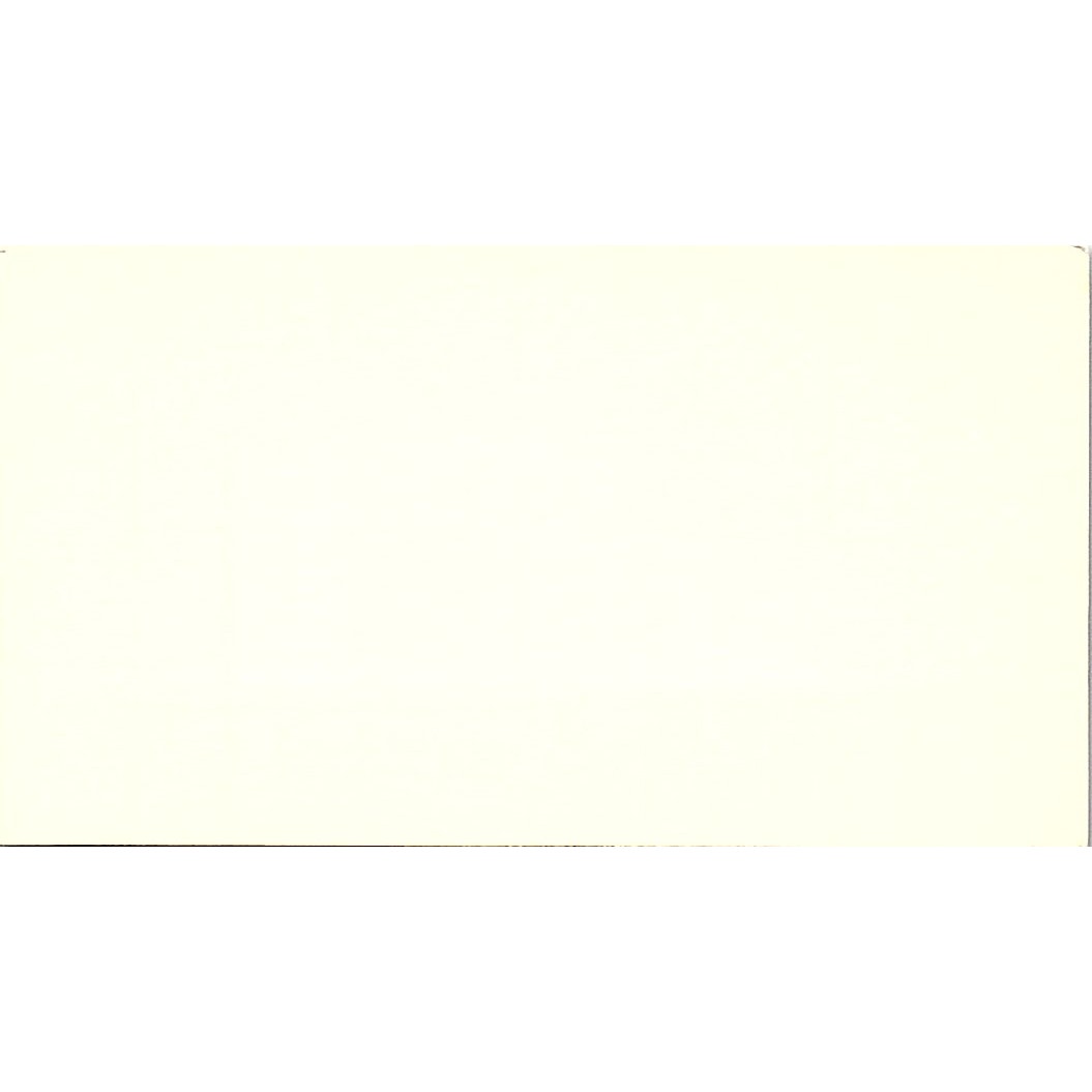 A. Salomon & Co Irvin A. Steinman Houston Texas Vintage Business Card SF3-B4