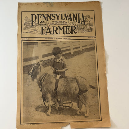 Pennsylvania Farmer Magazine COVER ONLY Boy With Goad 1922 Jun 17 V1-8