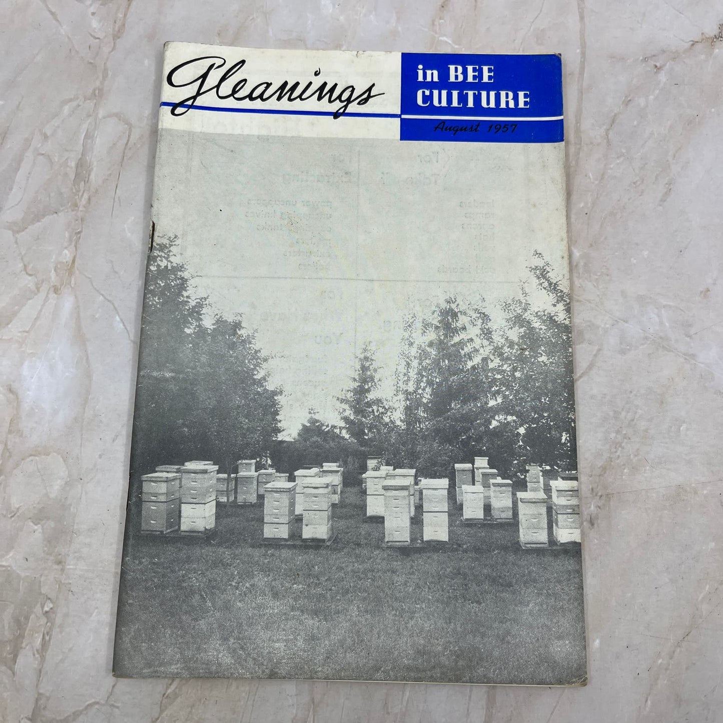 1957 August Gleanings in Bee Culture Magazine Bees Beekeeping Honey TD7