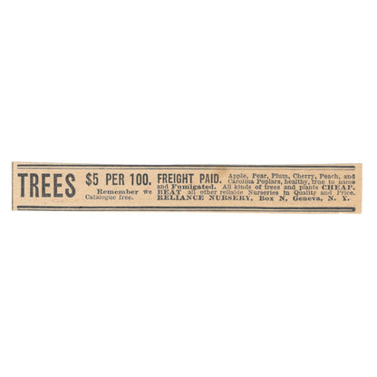 Trees - Reliance Nursery Geneva NY 1905 Magazine Ad AF1-NH3