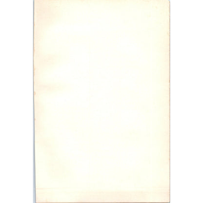 Plessis-Les-Tours France 1901 Original Print AD8-H8
