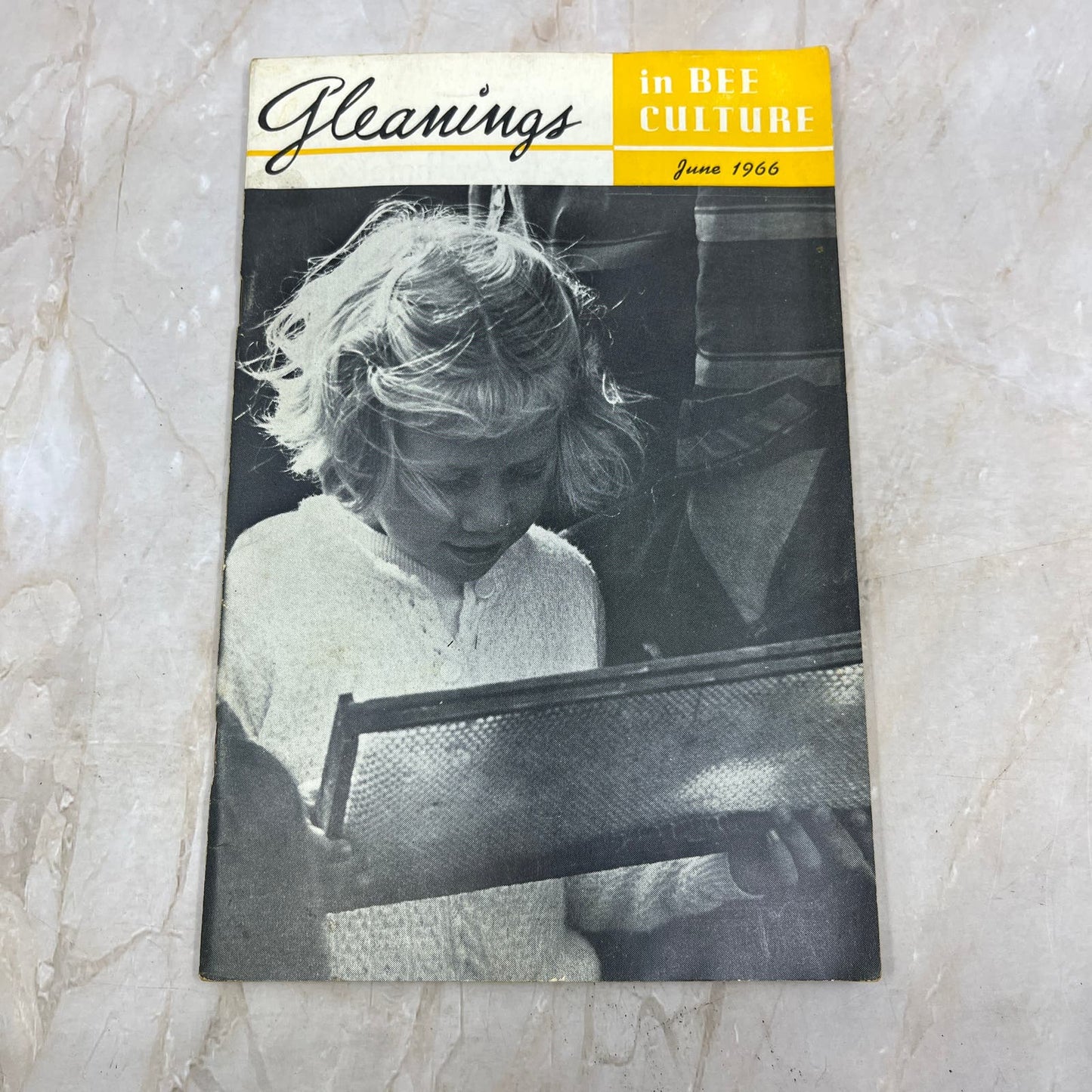 1966 June Gleanings in Bee Culture Magazine Bees Beekeeping Honey TD7