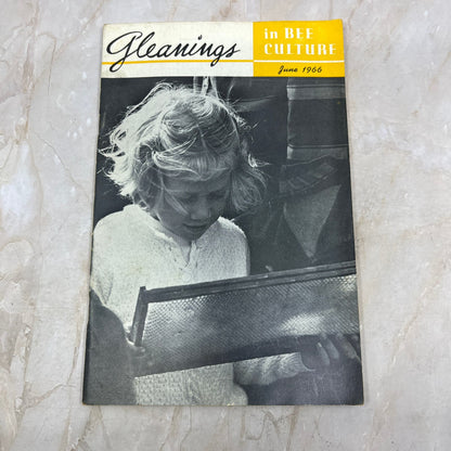 1966 June Gleanings in Bee Culture Magazine Bees Beekeeping Honey TD7