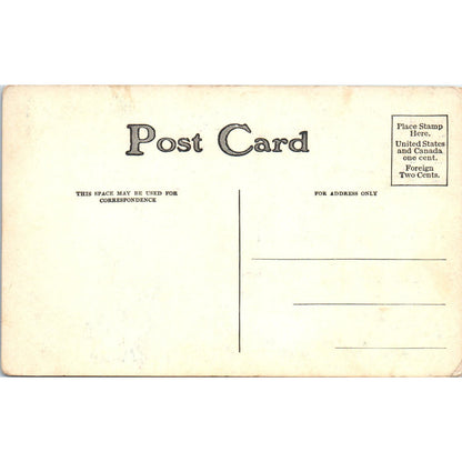 Hunting Scene Hunter Bird Dog Pointer c1909 Postcard PD2