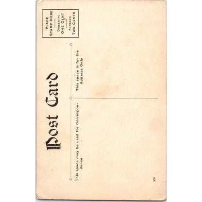 Puppy Dog Castor Oil Humor Cartoon Illustration 1907 Postcard PD2