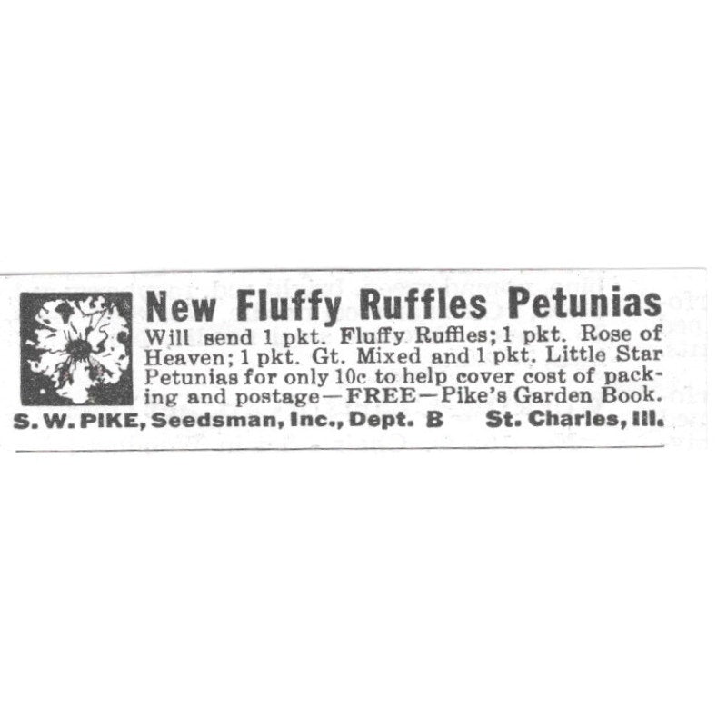 S.W. Pike, Seedsman, Inc. Fluffy Ruffles Petunia St. Charles IL 1936 Ad SAG4-S12