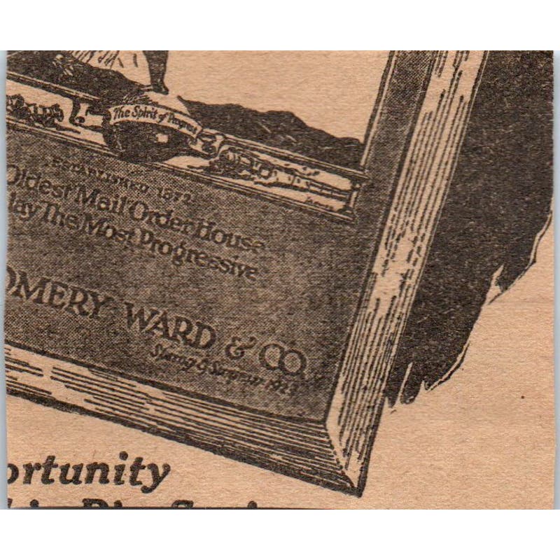 David White Milwaukee White's Weather Prophet 1923 Magazine Ad Clip AE1-5