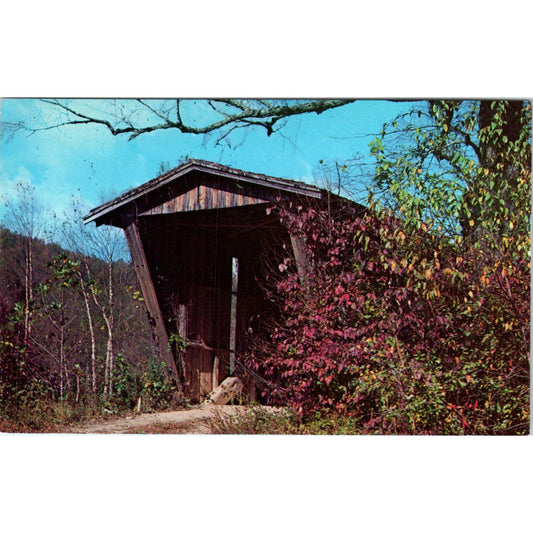 Sautee Creek Helen Georgia Covered Bridge Postcard PC3