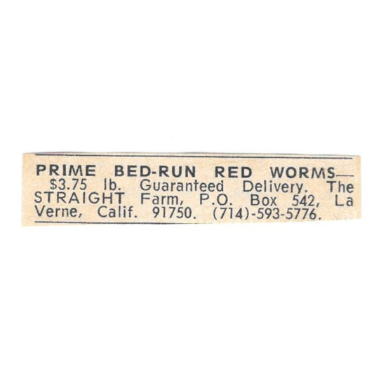 Prime Bed-Run Red Worms The Straight Farm La Verne CA 1977 Ad AF6-S5
