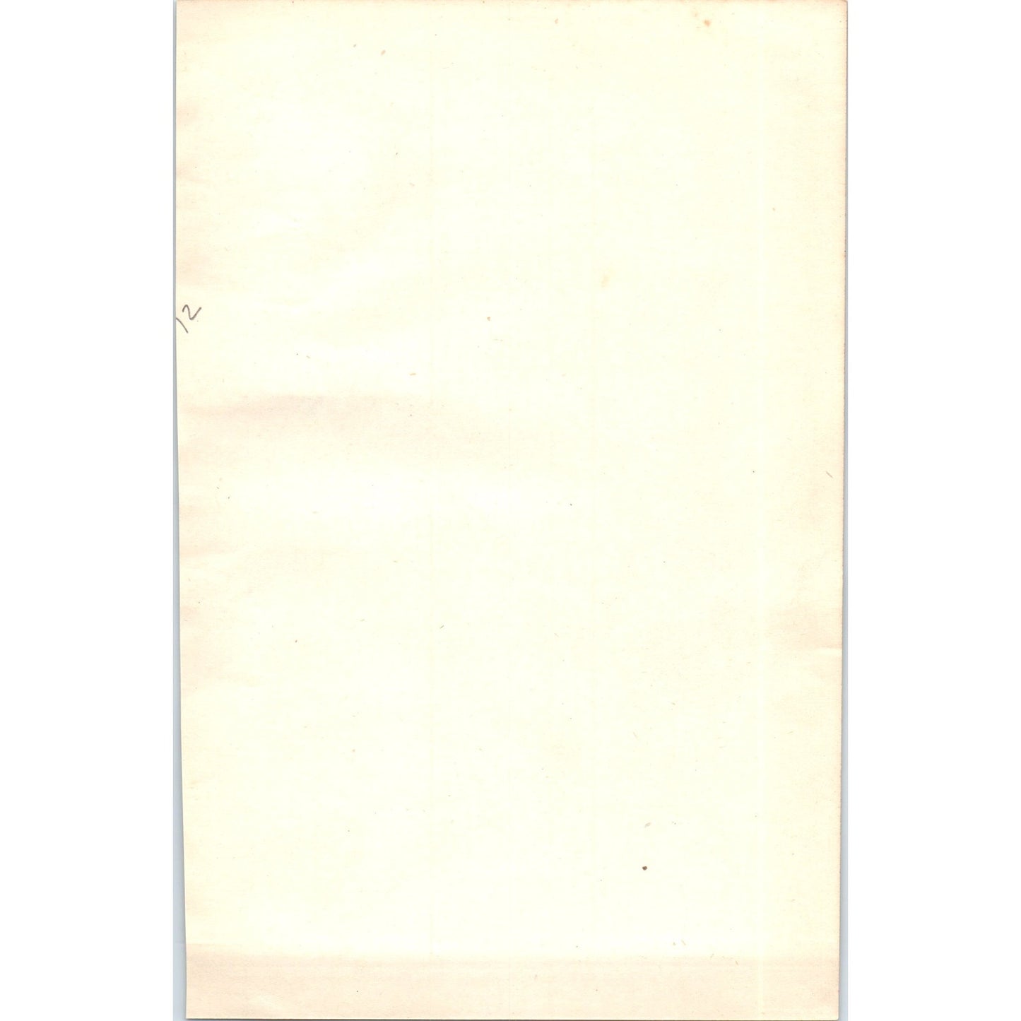 Grey Wagtail Bird 1903 Original Color Engraving Plate Print AD8-B4