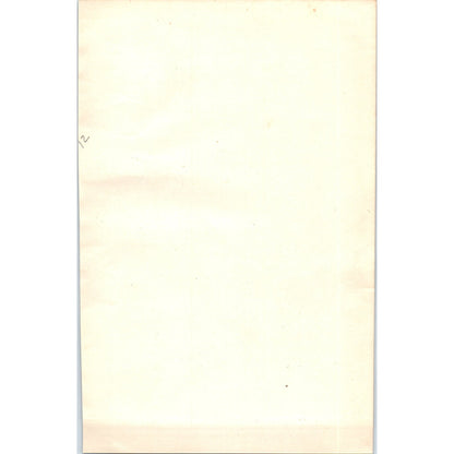 Grey Wagtail Bird 1903 Original Color Engraving Plate Print AD8-B4