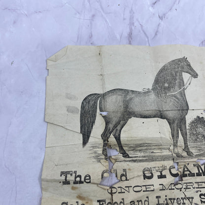 Parmer & Sons Livery & Stable Broadside Advertisement 9x12" Greenville AL AF9-4