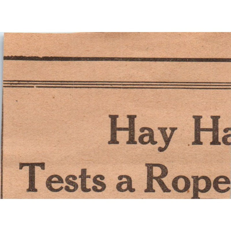 W.C. Fair V.S. Veterinary Help 1922 Magazine Ad AF2-S8