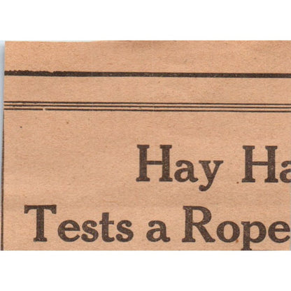 W.C. Fair V.S. Veterinary Help 1922 Magazine Ad AF2-S8