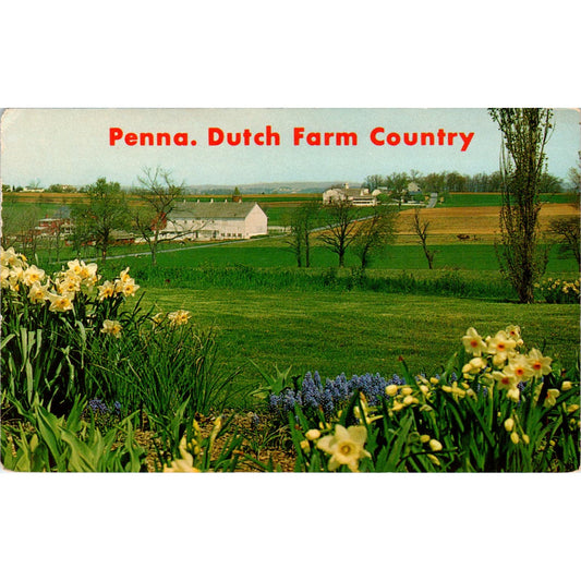 Heart of Amish Land Farm Country Pennsylvania Dutch Country Postcard PD7