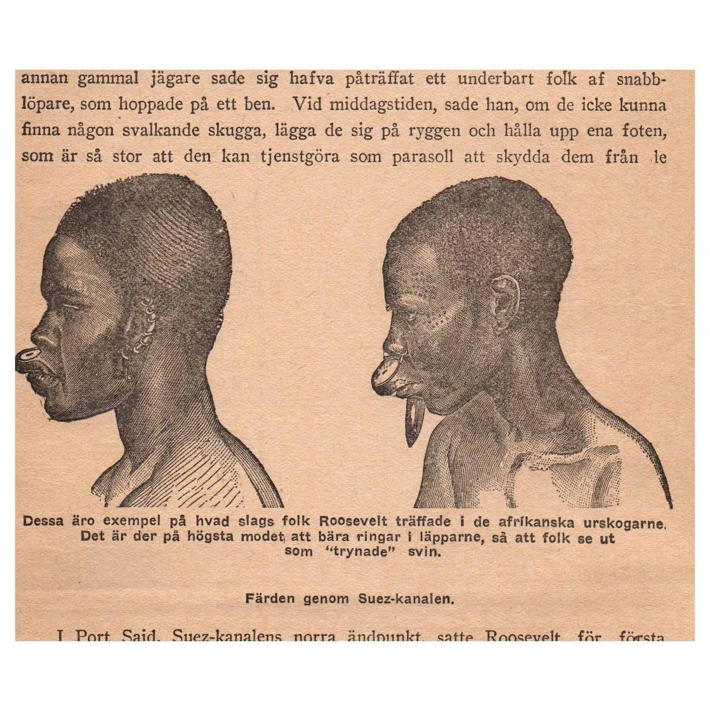 Aborigines of Africa grind corn to offer Roosevelt Johnny-cake 1909 Print AF5-13