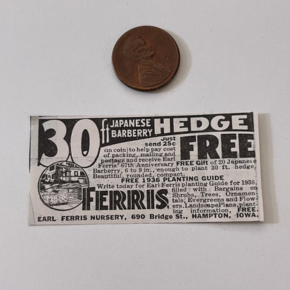 Earl Ferris Nursery 30ft Japanese Barberry Hedge Hampton IA 1936 Ad SAG4-M4