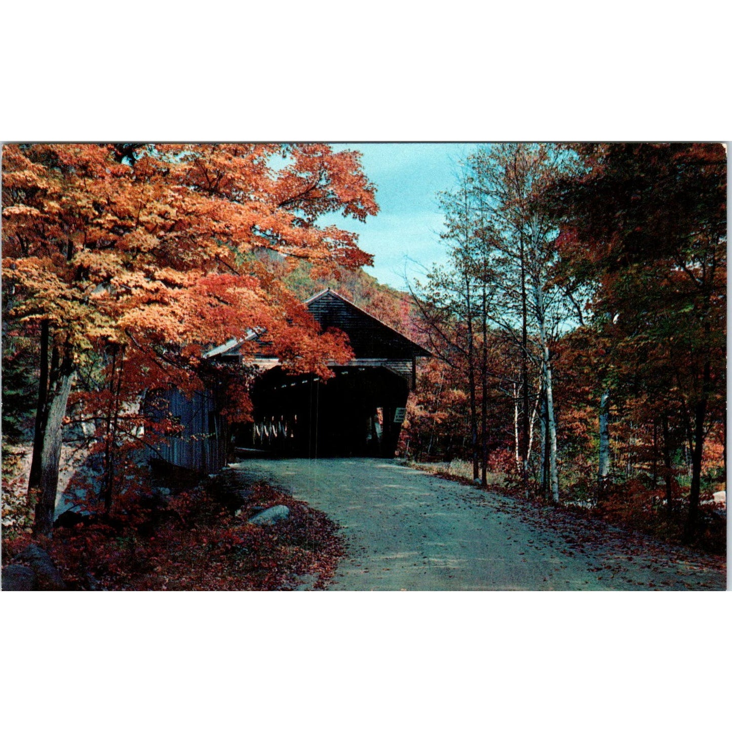 Covered Bridge South Royalton VT Vintage Covered Bridge Postcard PD6