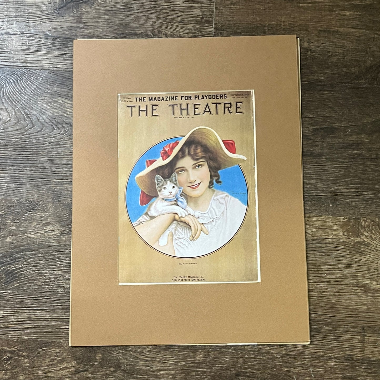 1913 The Theater Magazine - Cover Only, Matted Miss Mary Pickford & Cat 12x16 V3