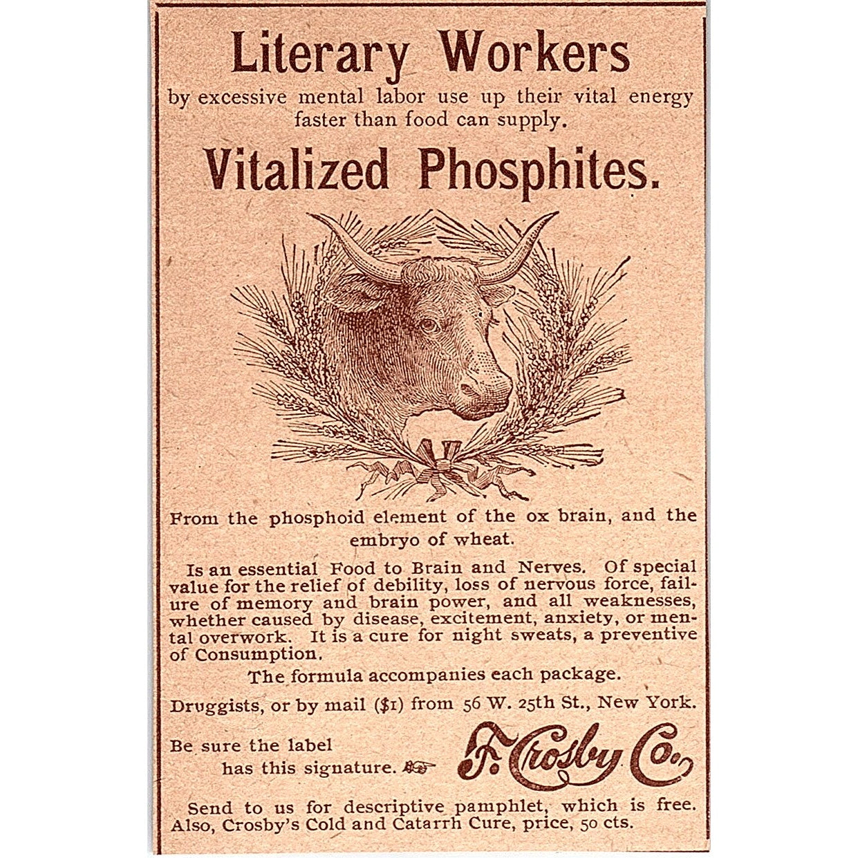 F. Crosby Co Vitalized Phosphates for Literary Workers NY 1892 Ad AG2-M11