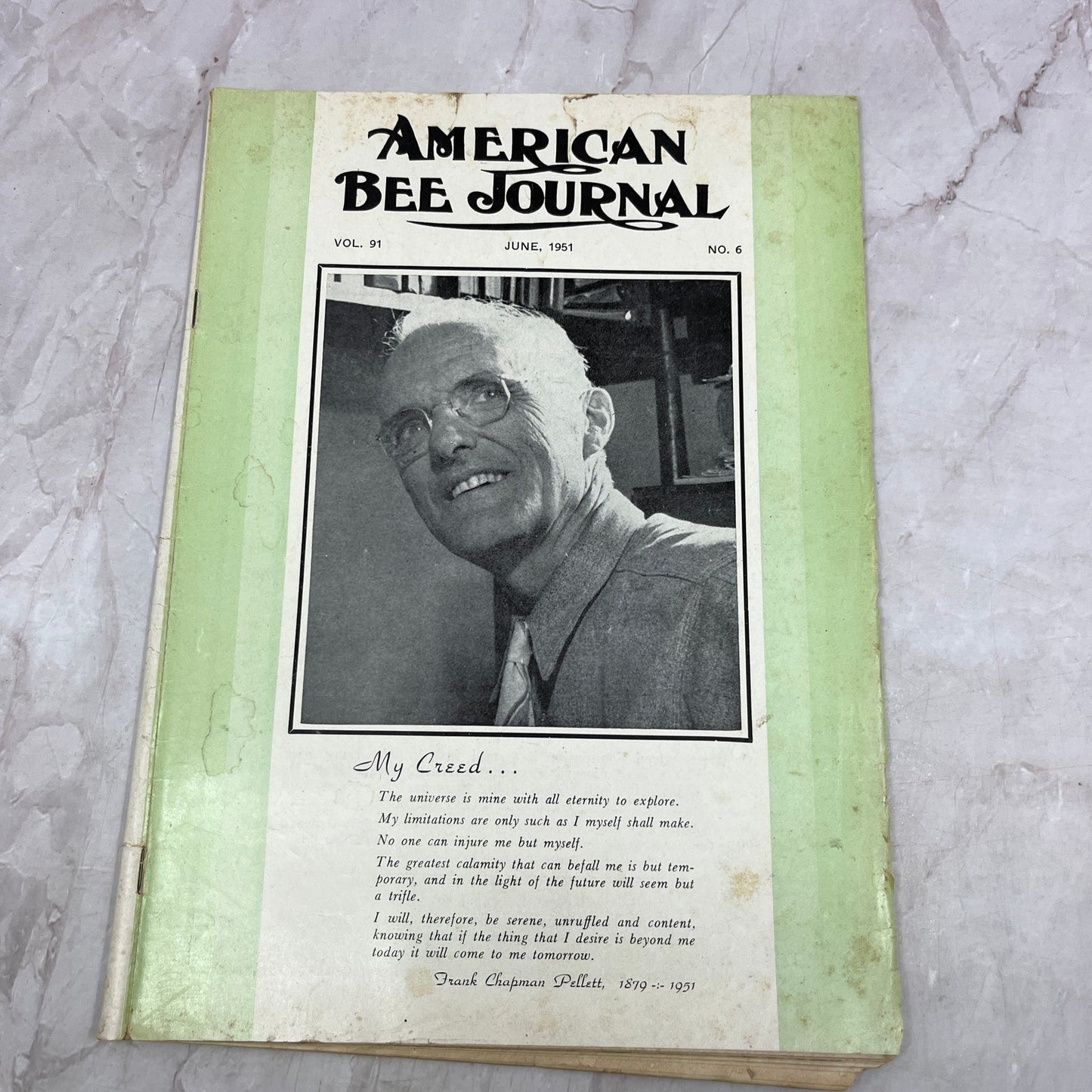 1951 June - American Bee Journal - Bees Beekeeping Honey M32