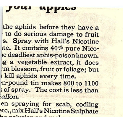 The Brown Fence and Wire Co Cleveland Ohio 1924 Ad AG3-S17
