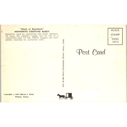 Old Order of Mennonite Courting Buggy Pennsylvania Dutch Country Postcard PD8