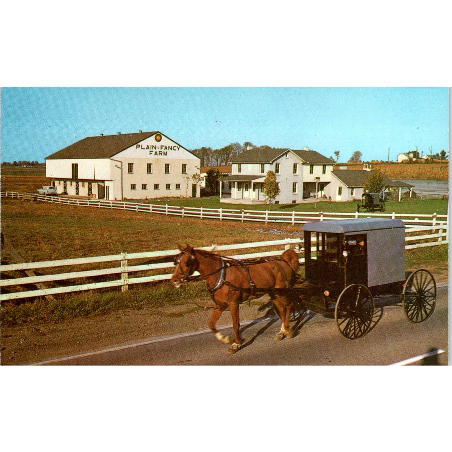 Plain and Fancy Farm Intercourse PA Pennsylvania Dutch Country Postcard PD7