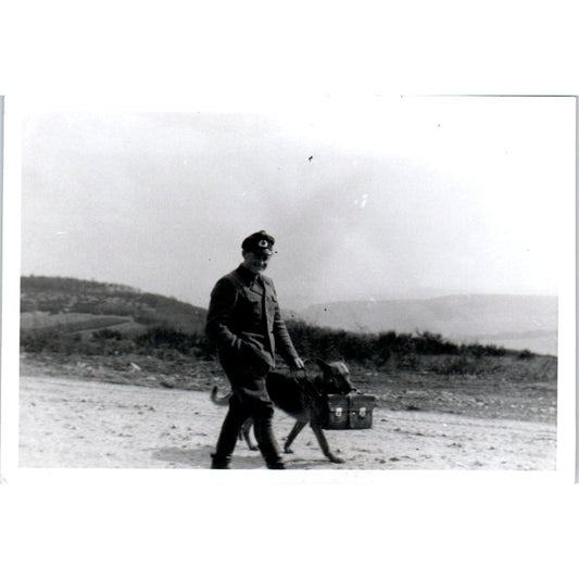 Soldier With German Shepherd Dog Postwar Europe c1954 Army Photo AF1-AP4
