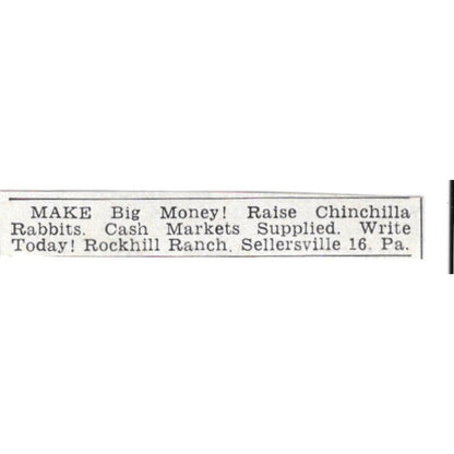 Raise Chinchilla Rabbits Rockhill Ranch Sellersville PA 1955 Ad AG1-S2