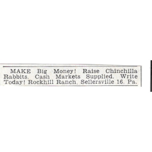 Raise Chinchilla Rabbits Rockhill Ranch Sellersville PA 1955 Ad AG1-S2
