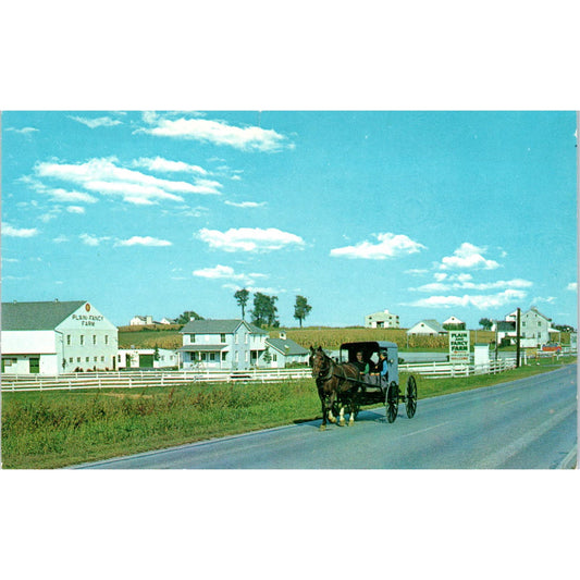 Amish Buggy Near Intercourse Pennsylvania Dutch Country Vintage Postcard PD5