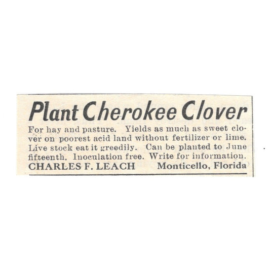 Charles F. Leach Cherokee Clover Monticello Florida 1924 Ad AG3-S3