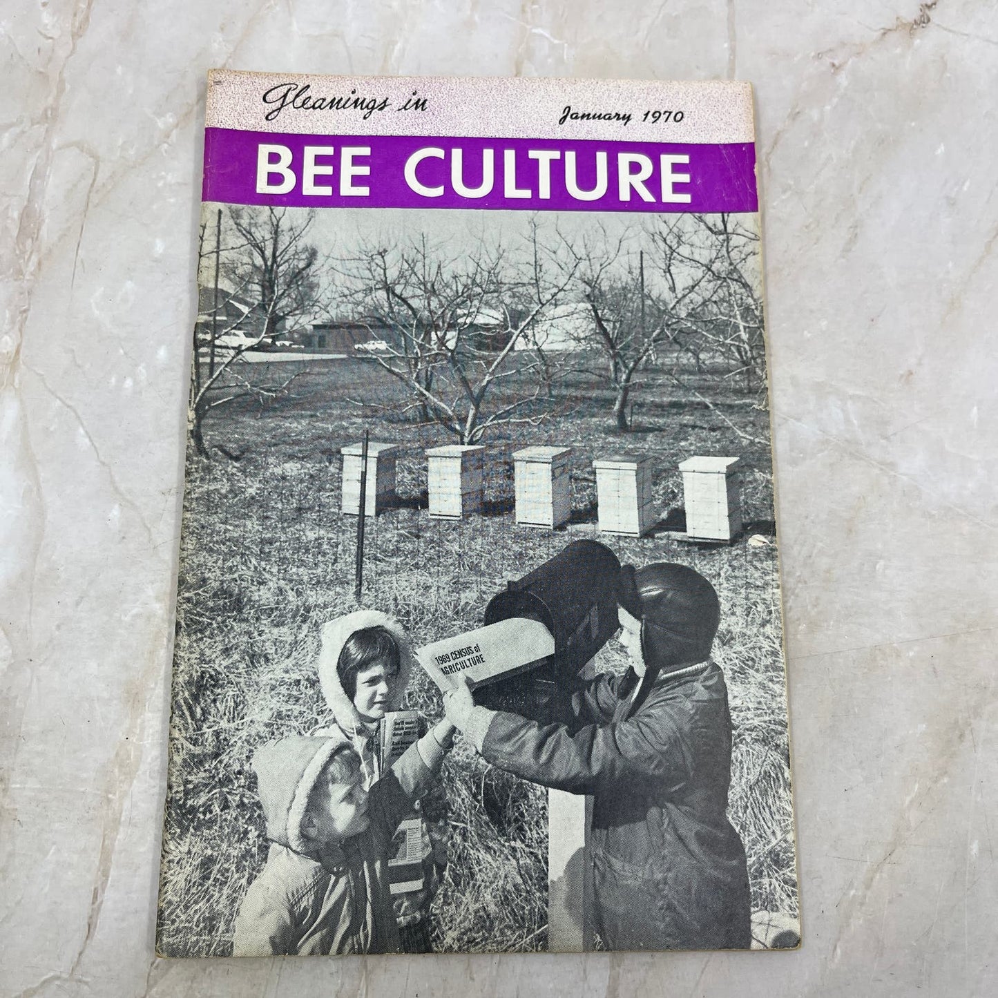 1970 Jan Gleanings in Bee Culture Magazine Bees Beekeeping Honey TD7
