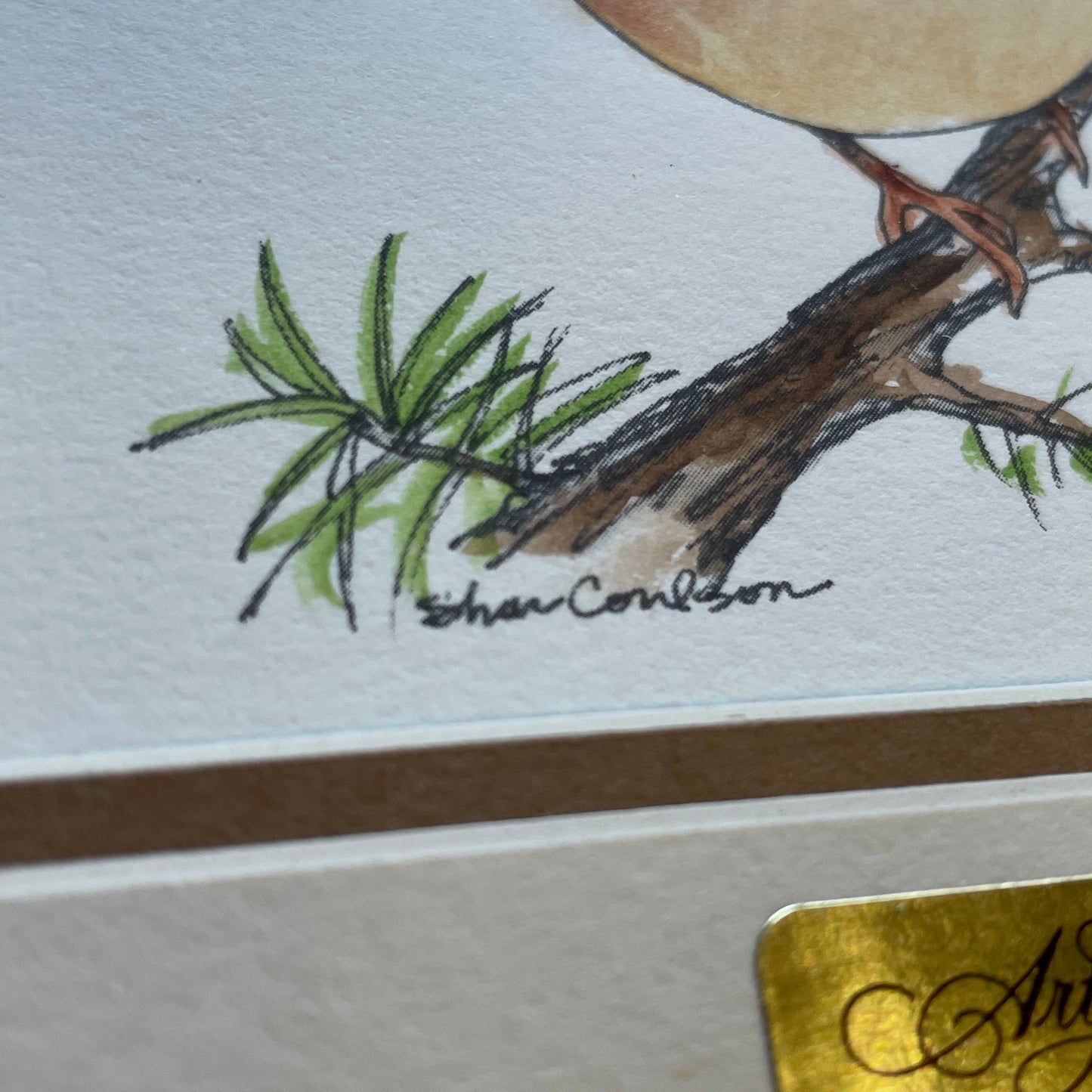 Chubby Tan Wren Bird 5x7 Matted Print Hand Watercolor, Signed Shar Coulson