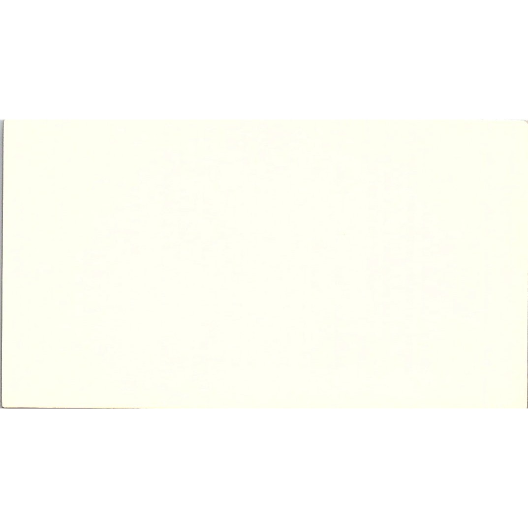 Richard E Lo Buono Sculpture Artist St. Petersburg FL Vtg Business Card SE3-B11