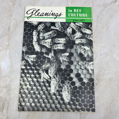 1957 June Gleanings in Bee Culture Magazine Bees Beekeeping Honey TD7