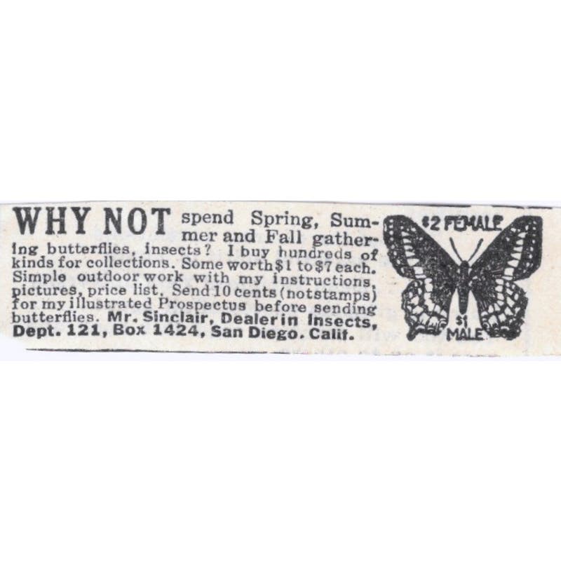 1931 Mr. Sinclair Insect Dealer San Diego CA Original Advertisement AE5-SA2