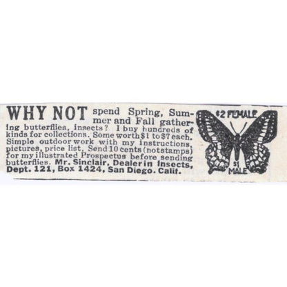 1931 Mr. Sinclair Insect Dealer San Diego CA Original Advertisement AE5-SA2